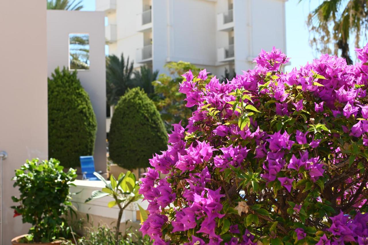 Apartment отдыхайте с удовольствием Paphos